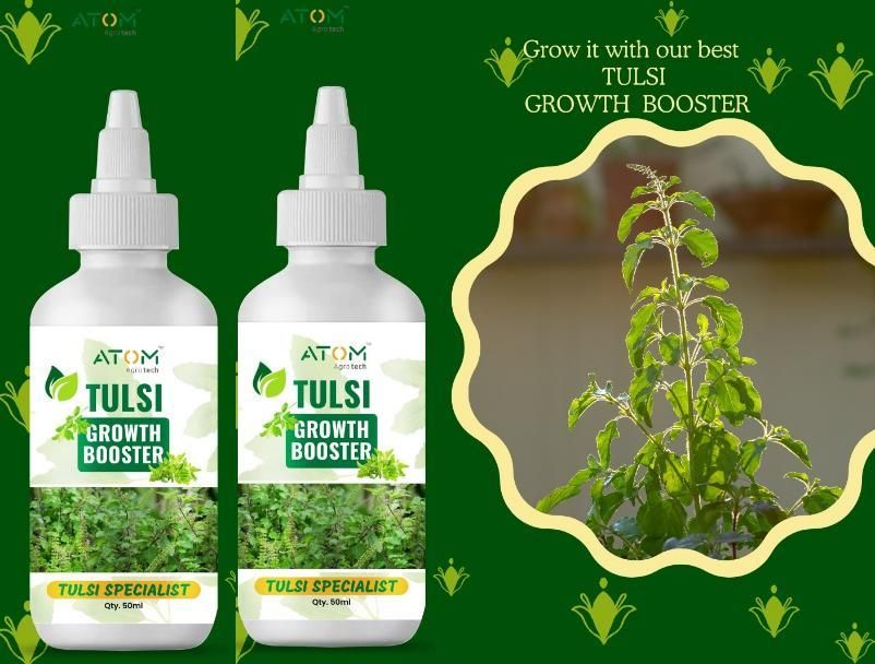 Tulsi Growth Booster Pack of 2