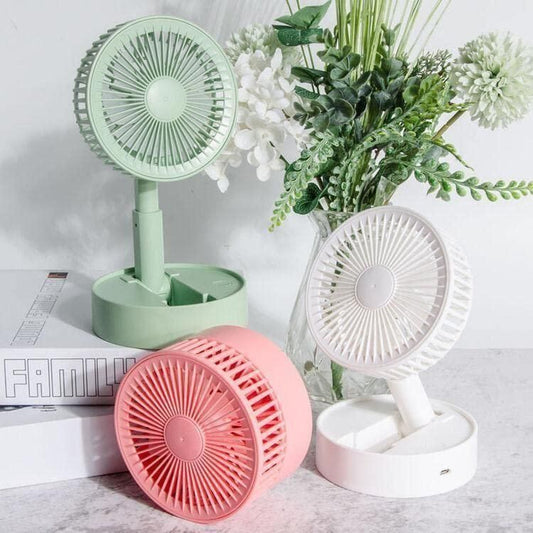 Rechargeable Standing Fan